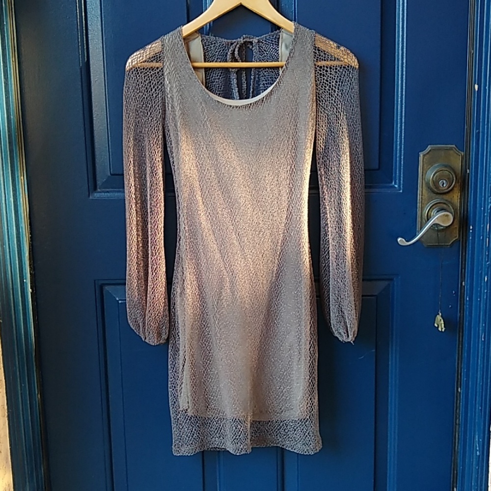 Foreign Exchange | mesh net dress